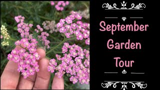 September Garden Tour Some of my favorite late season or ALL season plants💚🦋🌸🌹 [upl. by Lussi]