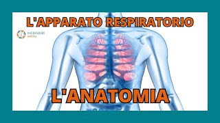 LAPPARATO RESPIRATORIO  LANATOMIA  INFERMIERI Online [upl. by Nette774]