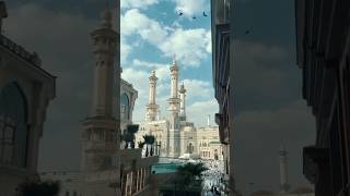 Makkah Madina  ytshortsindia shorts shortsviral shortsfeed youtubeshorts trending viralsong [upl. by Boiney363]