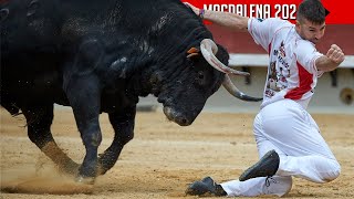 4K ▪ CASTELLÓN DE LA PLANA ▪ CONCURSO DE RECORTE LIBRE ▶ Toros de la ganadería LUPI [upl. by Cedar]