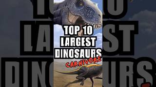 THE 10 LARGEST DINOSAURS EVER 🦖 Carnivorous shorts trex [upl. by Baird]