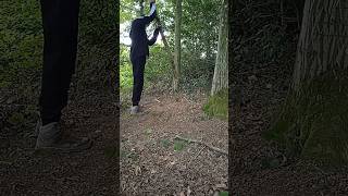 partie 1 cabane dans la forêt shortvideo youtubeshorts nature follow bushcraft life cabane [upl. by Yornek]