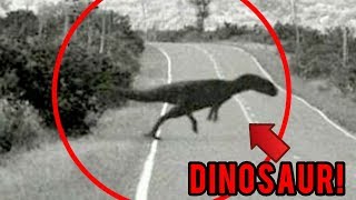 TOP 5 AVVISTAMENTI DI DINOSAURI O ANIMALI ESTINTI RIPRESI DA UNA TELECAMERA [upl. by Kired]