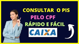 Consultar PIS pelo CPF  Como acessar o pis [upl. by Einned382]