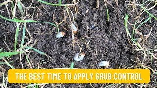 The Best Time to Apply Grub Control Products [upl. by Essile]