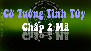 Cờ Tướng Học 14 Tuyệt Chiêu Chấp 2 Mã Hay Nhất [upl. by Bonnibelle122]