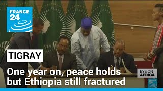 One year on peace holds in Tigray but Ethiopia still fractured • FRANCE 24 English [upl. by Merce]