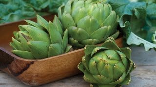 How To Grow Artichokes [upl. by Dagall747]