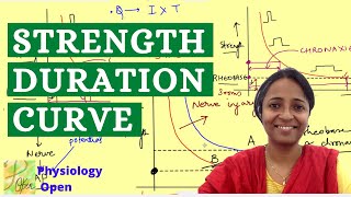 Strength Duration curve  Rheobase and chronaxie  Nerve muscle physiology mbbs 1st year lecture [upl. by Ricky]