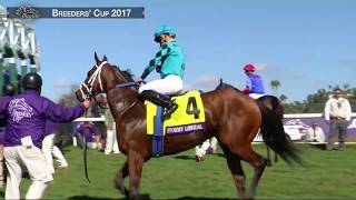 Stormy Liberal Wins Breeders Cup Turf Sprint Grade I Stakes Race 5 at Del Mar 110417 [upl. by Anwad73]