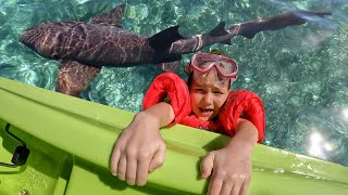 went SWiMMiNG with SHARKS Adley amp Mom got in shark water family boat ride to find ocean animals [upl. by Aceissej]