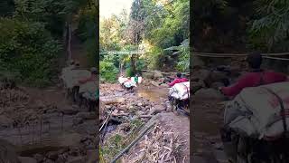 MENDAKI GUNUNG LEWATI LEMBAH SUNGAI MENGALIR INDAH KESAMUDERA  OJEG GUNUNG EKSTRIM [upl. by Takara]