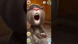 Taking Tom cat  taking tom funny video [upl. by Haelam183]