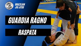 Raspata della Guardia Ragno con Nika Schwinden bjj biella mma nogi grappling [upl. by Lyndy848]