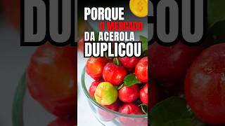 Como Lucra Com o Mercado Da Acerola [upl. by Lirret731]