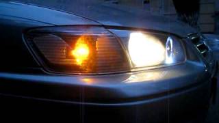 HIL Toyota Camry 2000 Black Halo Head Lights [upl. by Giraldo]