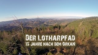 LotharpfadSchwarzwald  15 Jahre nach dem Orkan [upl. by Catharina]