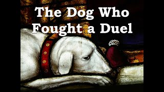 The Story of The Dog Who Fought a Duel [upl. by Leakcim]