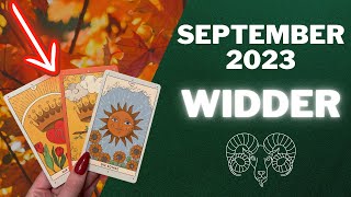 Widder ♈️  Monatshoroskop  September 2023 [upl. by Basham]