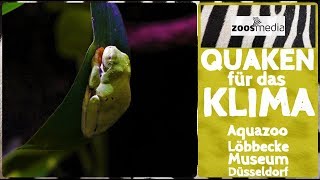 Aquazoo Löbbecke Museum 🐸 QUAKEN FÜR DAS KLIMA 🍃 Artenschutz in Düsseldorf  zoosmedia [upl. by Naitsirk]