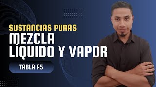 SUSTANCIAS PURAS  Mezcla Líquido Saturado  Vapor Saturado [upl. by Erdnuaed]