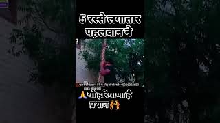 भिवानी sai hostel के पहलवान ने लगाए लगातार 5 रस्से।।ankit baiyanpuriya ।। Rahul dhandlaniya । pritam [upl. by Disario832]