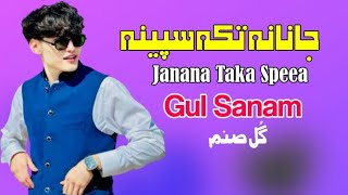 Janana Taka Speena  Gul Sanam Pashto Song 2024  New Pashto Song 2024  Pashto Tappy  HD Video [upl. by Ahsinor611]