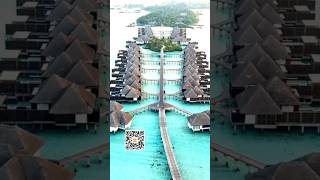 quotinCruisesquot inCruises inStays inGroup Travel Membership Partnership shorts short shortvideo [upl. by Esiled767]