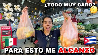 Esto Compro en un MERCADO en México 🇲🇽 con mi Salario de 1 día¿Me ALCANZA 😱🇨🇺 [upl. by Aronow]