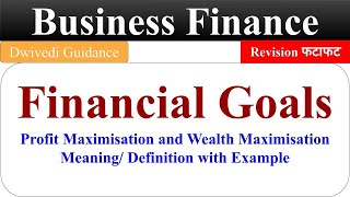 Financial Goals Business Finance bcom business finance in hindi objective of financial manager [upl. by Eadrahs]