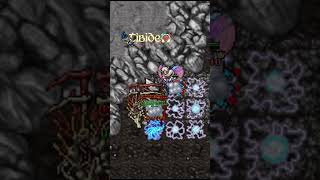 TIBIA  ¿CONOCÍAS ESTE BUG [upl. by Atiseret644]