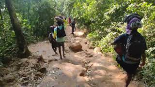 SABARIMALA AYYAPPAN  PERUVALI YATRA  AZHUTHA MALAI MEDU TO MUKKULI  ROUTE LIVE VIDEO [upl. by Tootsie]