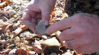 Identifiying Flint Chert and other Sparking Rocks [upl. by Depoliti]