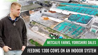 How Do We Feed 1300 Cows  Metcalfe Farms Yorkshire Dales [upl. by Neyud]