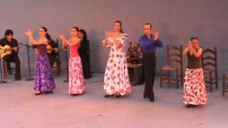 TANGOS Y SEVILLANAS quotALMA PEREGRINAquot CIA DE DANZA ESPAÑOLA Y FLAMENCO [upl. by Kalman648]