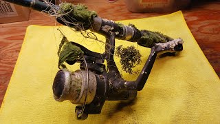 Unknown Zebco Combo Spinning Reel Disassembly and Cleaning Service [upl. by Gusti675]