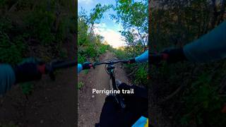 Cool trail in Bountiful mtb mountainbiking [upl. by Ozan]