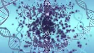 Your DNA the Environment and Epigenetics [upl. by Aelahs]