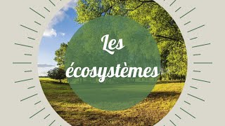 Ecosystèmes interactions au sein dun écosystème [upl. by Elcin]