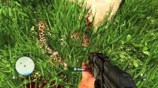 Far Cry 3 Gameplay  GTX770 2Go Leopard Hunting [upl. by Sharman]