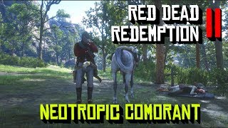 Red Dead Redemption 2 Neotropic Cormorant Location [upl. by Eelsha]