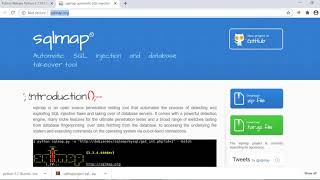 Use SQLMap with help of Burpsuite CO2 BurpSuite ExtenderPython InstallationSQLMAP configuration [upl. by Yetnruoc]