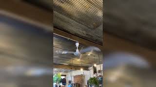 Envirofan Silver Line Commercial Ceiling Fans [upl. by Sheline]