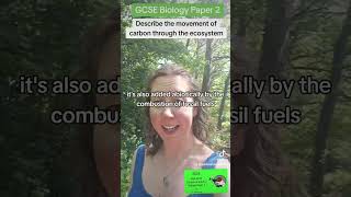 Can you describe the carbon cycle gcse biology revision [upl. by Nevai472]