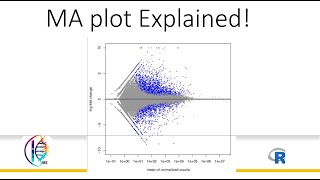 MA plot Explained RNAseq data analysis [upl. by Anifled]