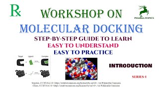 Workshop on Molecular docking  Introduction  Series1 [upl. by Notelrac]