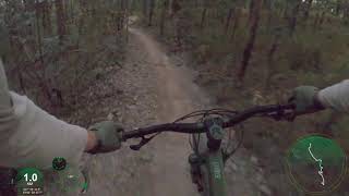 Petes  Full Run Downhill  Nerang National Park  Mountain Biking [upl. by Eidualc141]