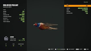 RingNecked Pheasant  3Diamond  theHunter Call of the Wild 2023 11 22 23 [upl. by Ehpotsirhc]