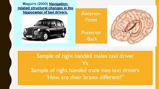 IB Psychology  The Biological Approach Techniques used to study the brain video [upl. by Ahsap56]