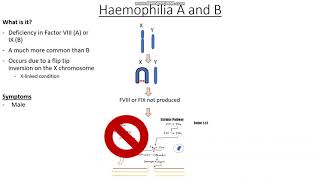 Clotting disorders Part 3  Haemophilia DIC and Single Best Answer Questions [upl. by Elia]